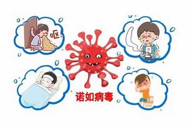 甲流諾如接伴而來 科學預防 無需恐慌