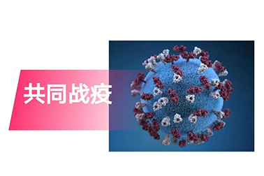 江北新區管委會副主任陳潺嵋慰問我司